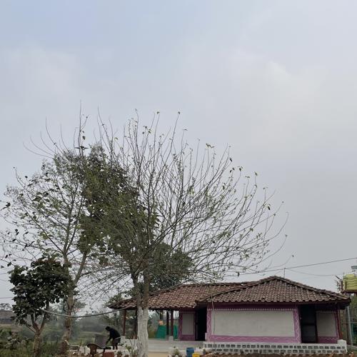 Prasanna Homestay, Chaugan